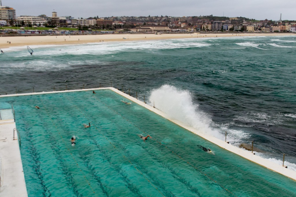 Bondi Icebergs club